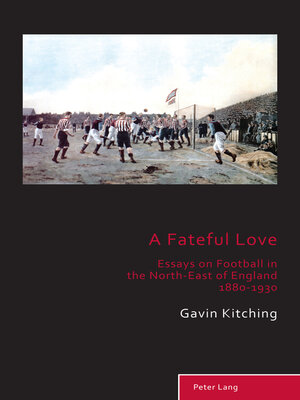 cover image of A Fateful Love